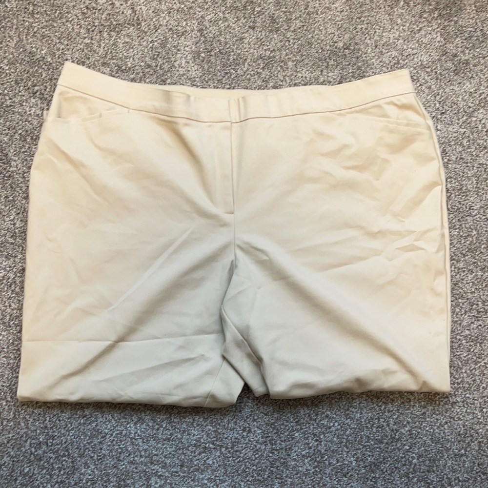 Pant